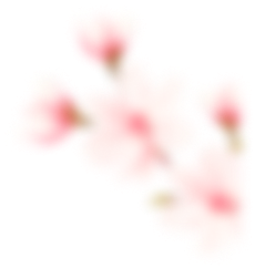 Ранее разыгранные