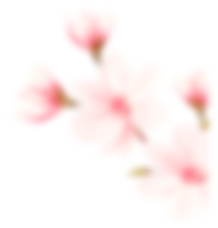 Видео записи розыгрышей фонда