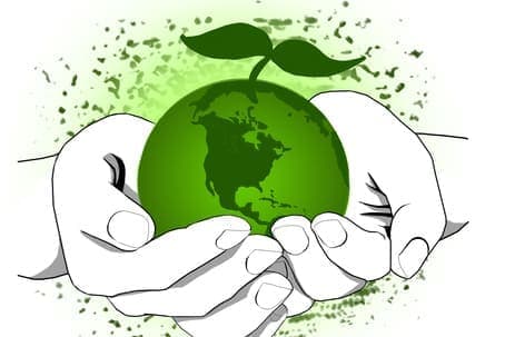Проблема экологии: как сделать мир лучше