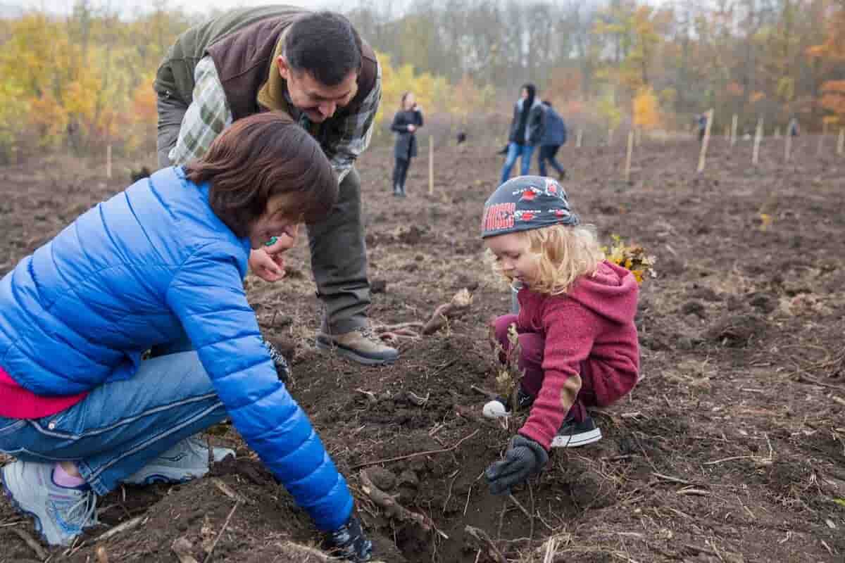 Кто участвует в благотворительности