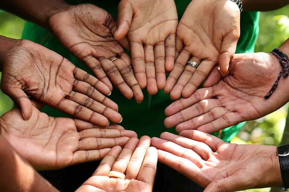 Благотворительность организаций