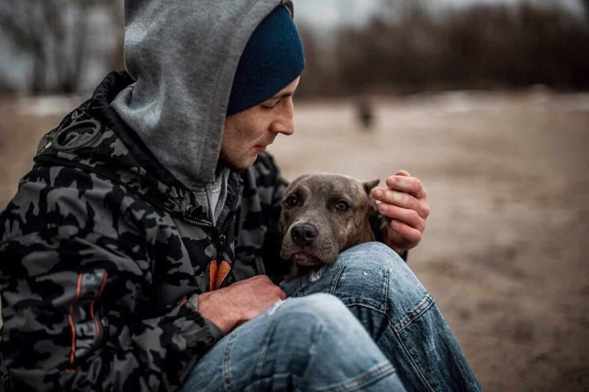 28 ноября – День милосердия и сострадания