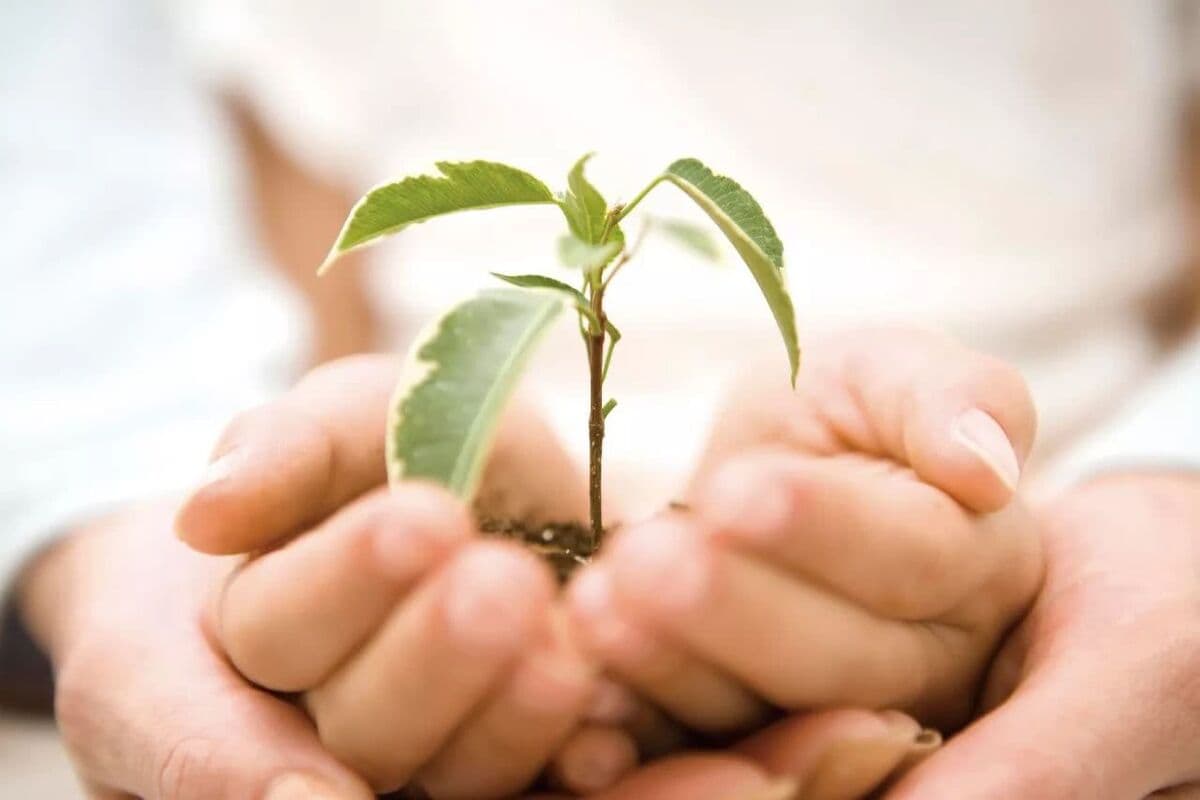 Мифы о благотворительности