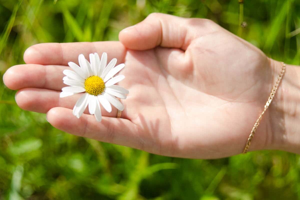 Благотворительная акция «Особый день для мам»