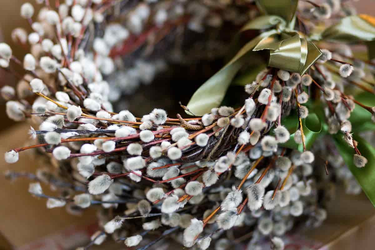 Вербное Воскресение