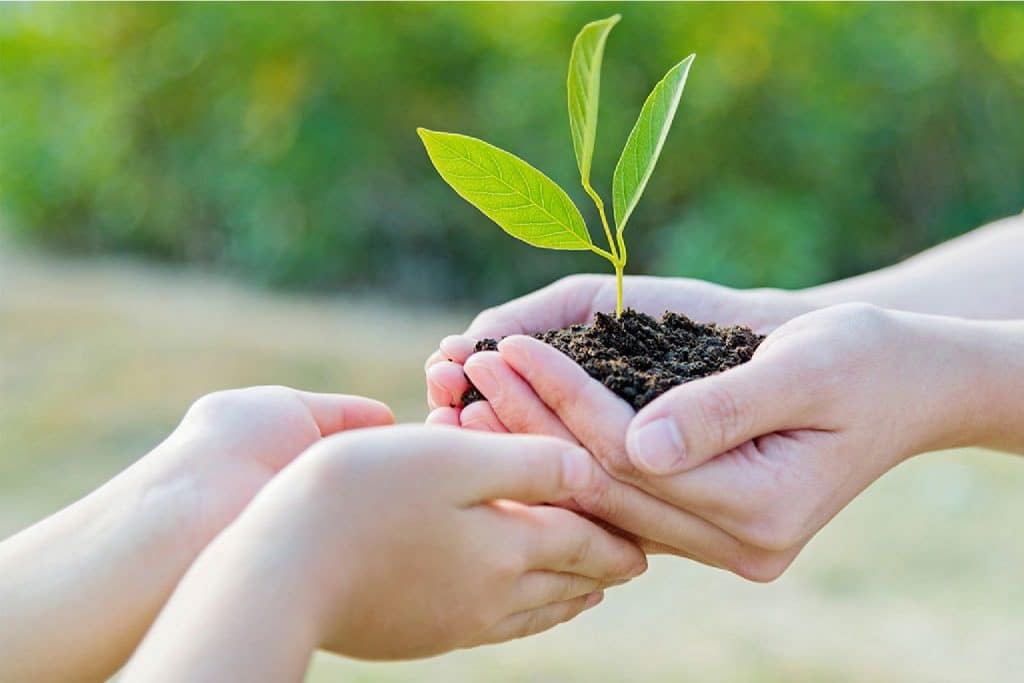 Значение благотворительности