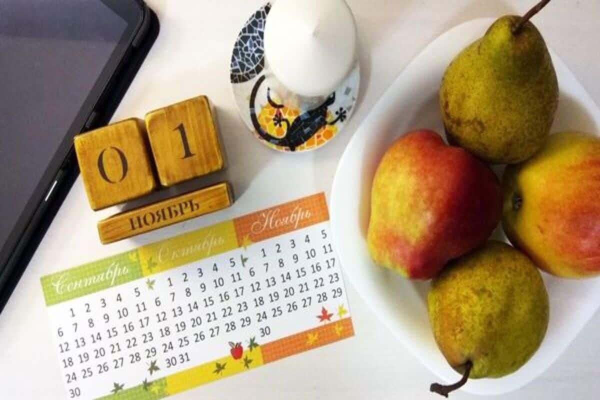 Календарь праздников на ноябрь 2022