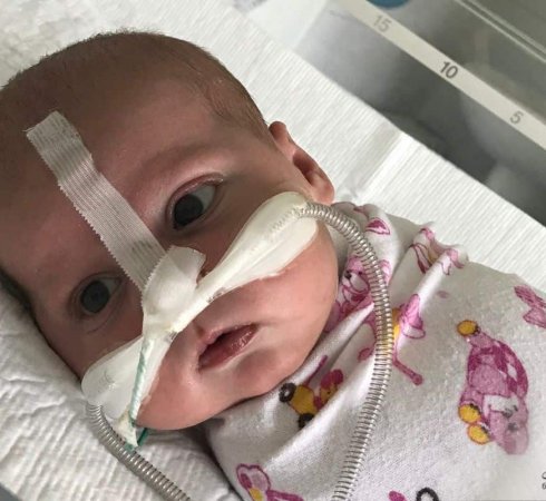 Черепанов Нестор