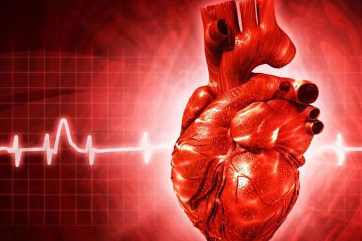 Всемирный день сердца