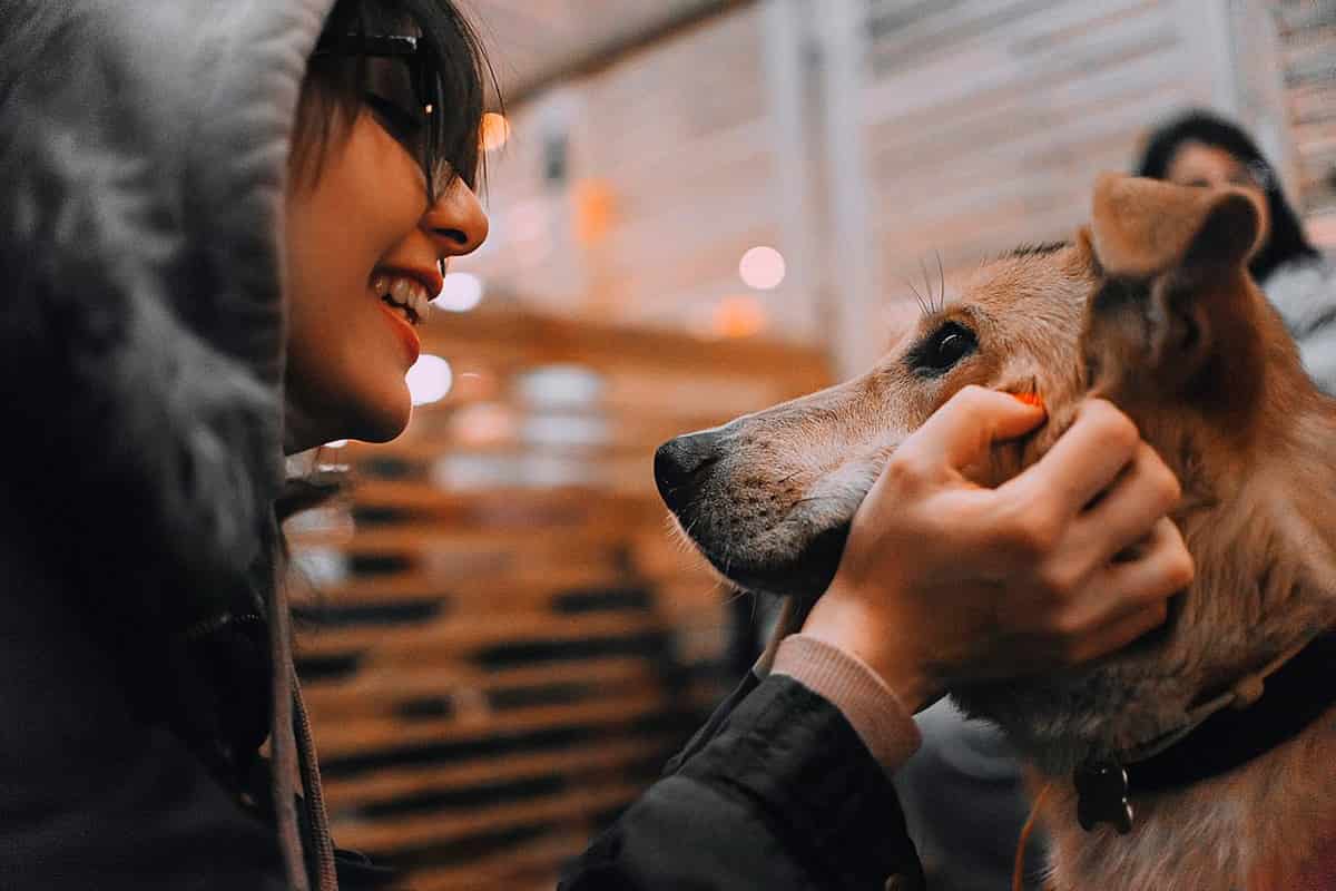 Фонд помощи бездомным