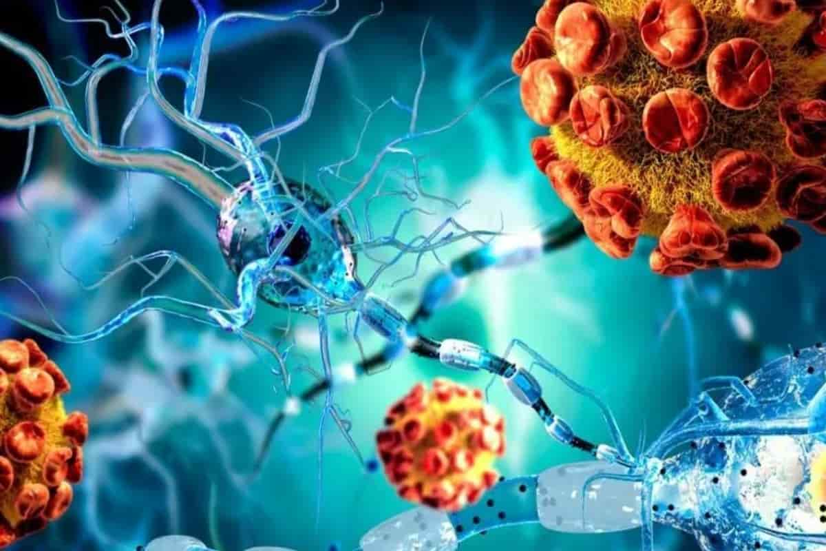 Первичный иммунодефицит