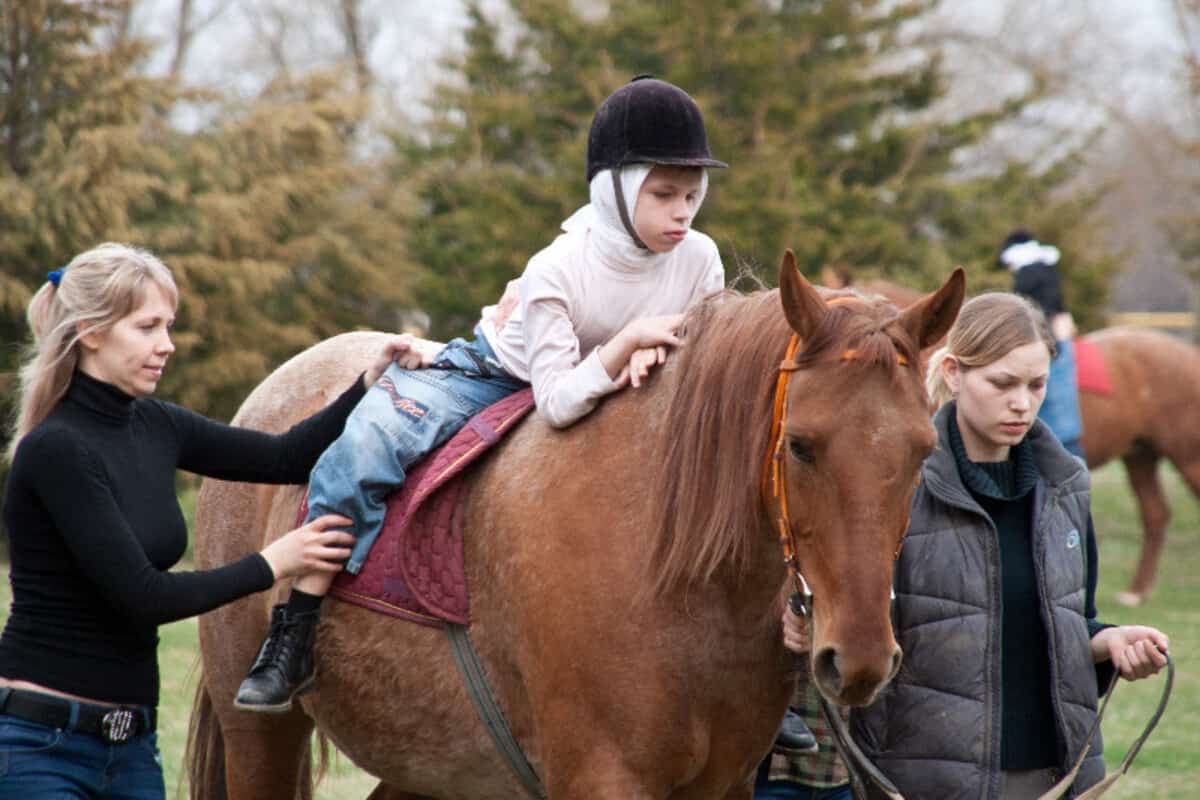 Иппотерапия